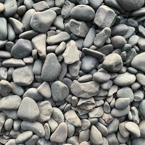 Meet your Posher, Weston